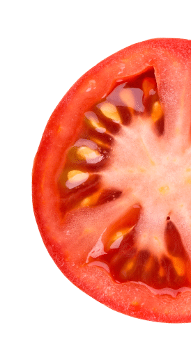 Tomato